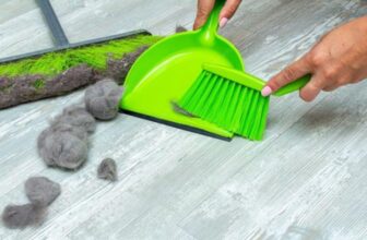 Unleash a Pet Hair Free Home 5 House Cleaning Tips for Pet Owners