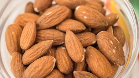 Can Dogs Eat Almonds? Uncovering Your Dogs Diet